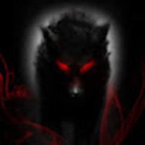 Meet your Posher, Mackenna